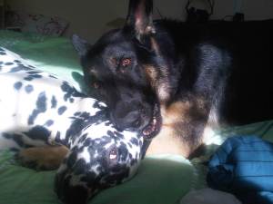 IMG00017-20120901-1033