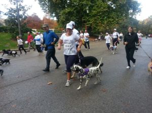 Video de Perroton 2013