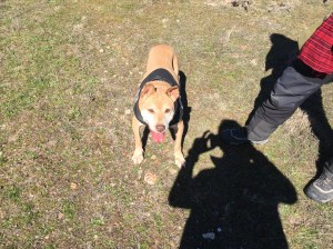 Hope disfrutando del paseo