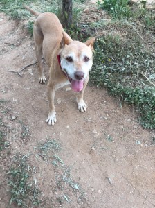 Gracias a todos chic@s